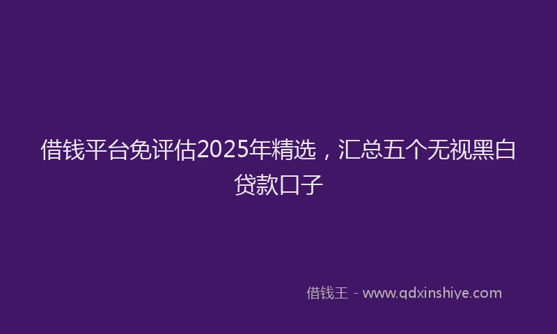 借钱平台免评估2025年精选，汇总五个无视黑白贷款口子