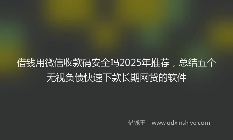 借钱用微信收款码安全吗2025年推荐，总结五个无视负债快速下款长期网贷的软件
