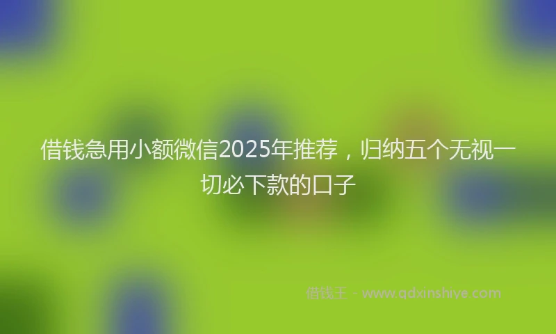 借钱急用小额微信2025年推荐，归纳五个无视一切必下款的口子
