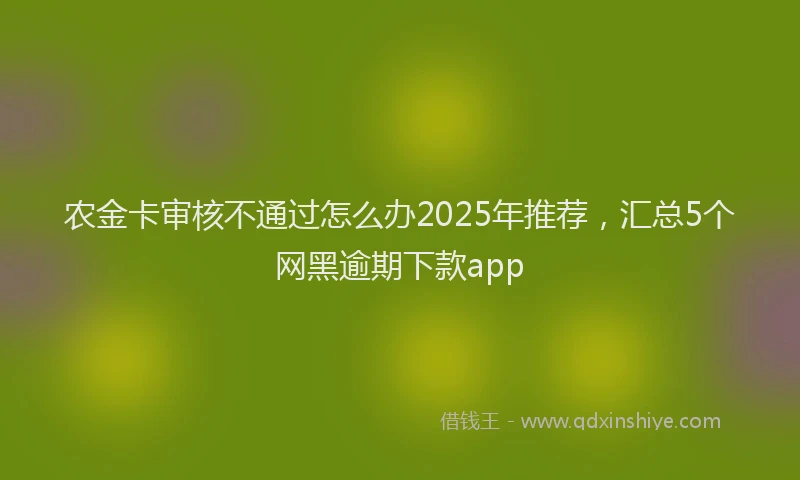 农金卡审核不通过怎么办2025年推荐，汇总5个网黑逾期下款app