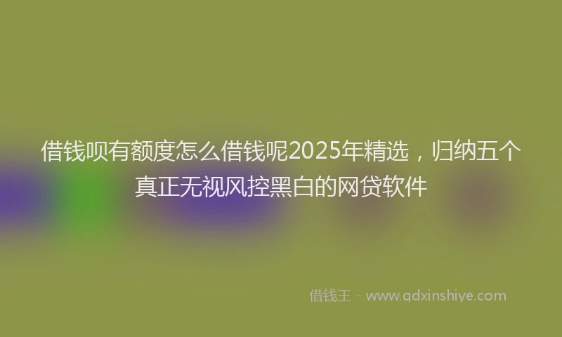 借钱呗有额度怎么借钱呢2025年精选，归纳五个真正无视风控黑白的网贷软件