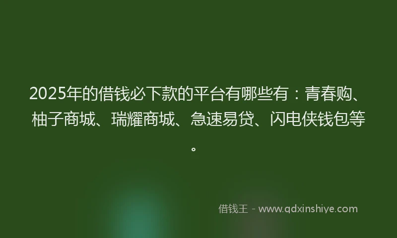 2025年的借钱必下款的平台有哪些有：青春购、柚子商城、瑞耀商城、急速易贷、闪电侠钱包等。
