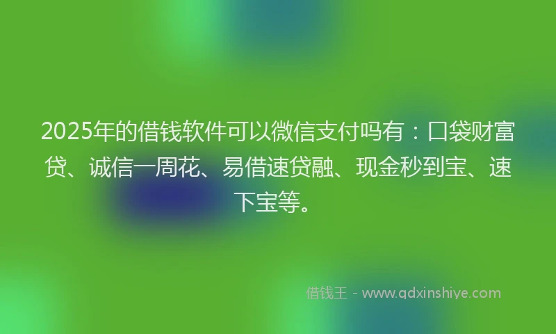 2025年的借钱软件可以微信支付吗有：口袋财富贷、诚信一周花、易借速贷融、现金秒到宝、速下宝等。