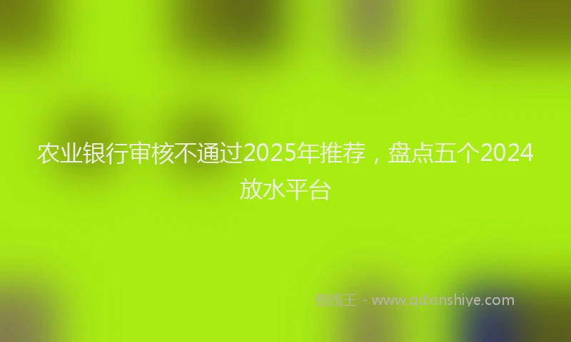 农业银行审核不通过2025年推荐，盘点五个2024放水平台