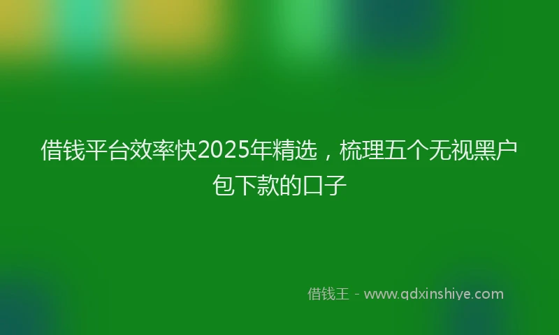 借钱平台效率快2025年精选，梳理五个无视黑户包下款的口子