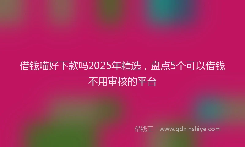 借钱喵好下款吗2025年精选，盘点5个可以借钱不用审核的平台