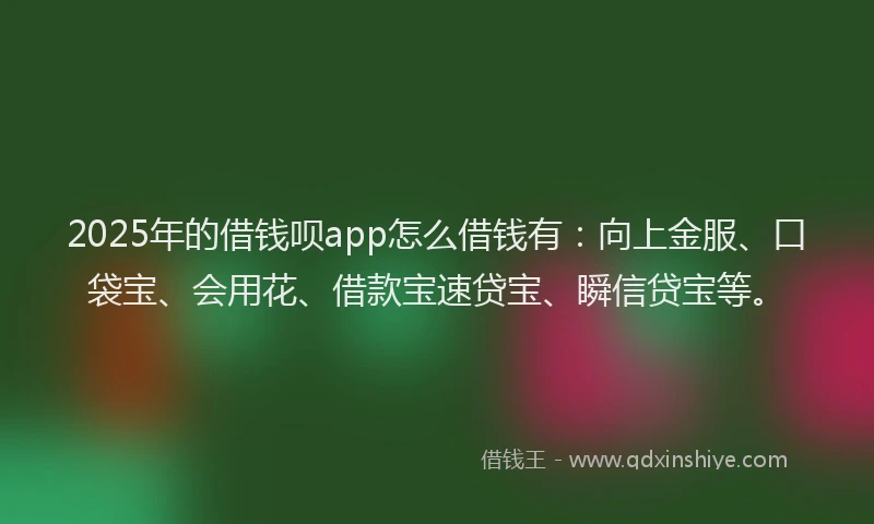 2025年的借钱呗app怎么借钱有：向上金服、口袋宝、会用花、借款宝速贷宝、瞬信贷宝等。