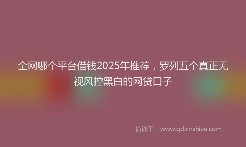 全网哪个平台借钱2025年推荐，罗列五个真正无视风控黑白的网贷口子