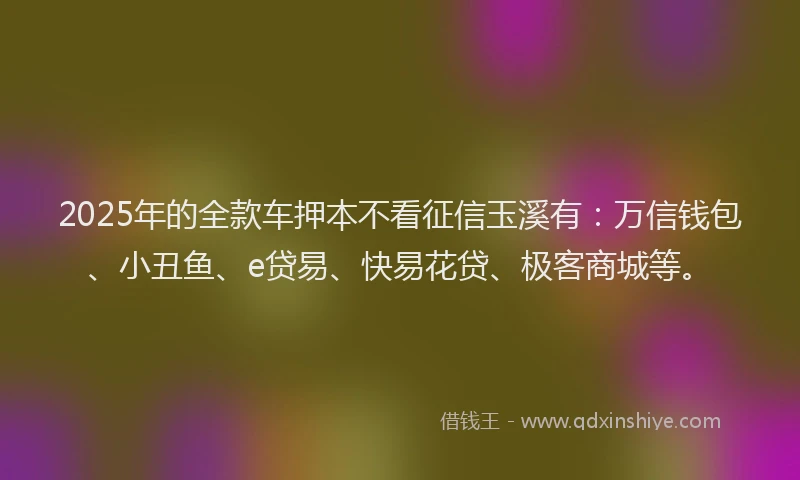 2025年的全款车押本不看征信玉溪有：万信钱包、小丑鱼、e贷易、快易花贷、极客商城等。
