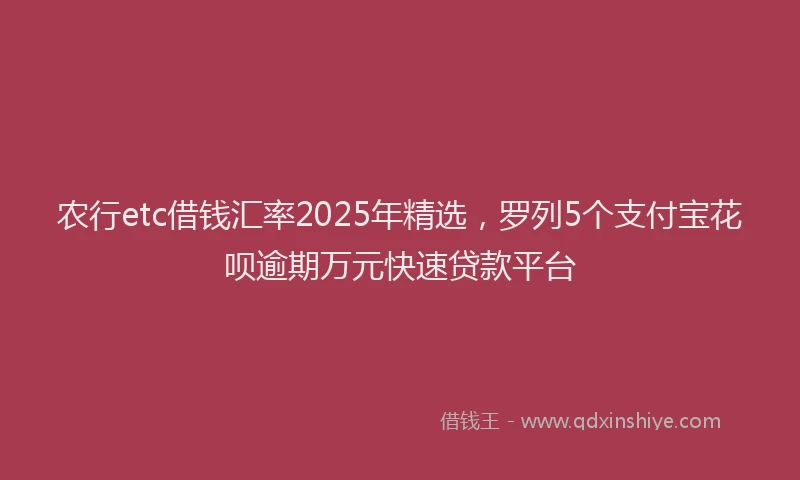 农行etc借钱汇率2025年精选，罗列5个支付宝花呗逾期万元快速贷款平台
