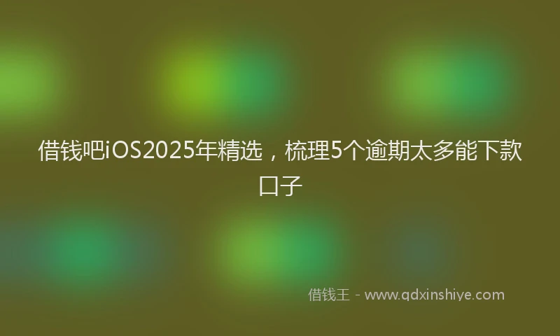 借钱吧iOS2025年精选，梳理5个逾期太多能下款口子
