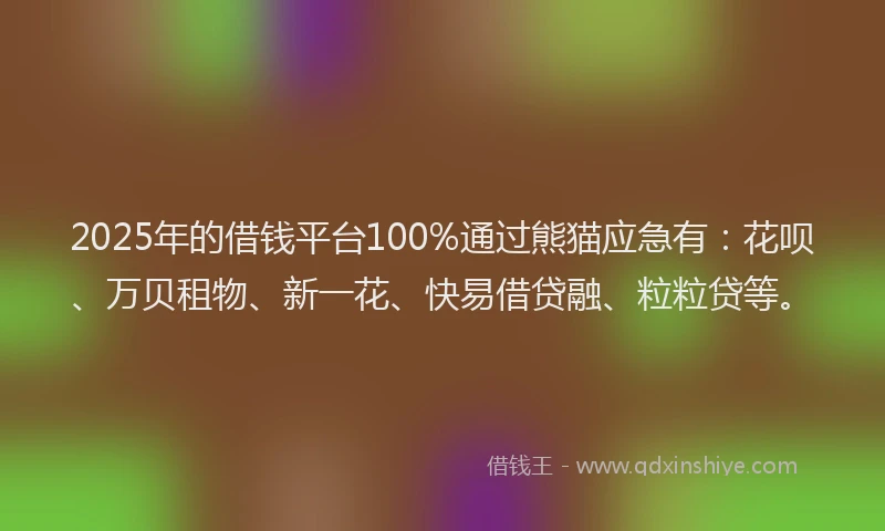 2025年的借钱平台100%通过熊猫应急有：花呗、万贝租物、新一花、快易借贷融、粒粒贷等。