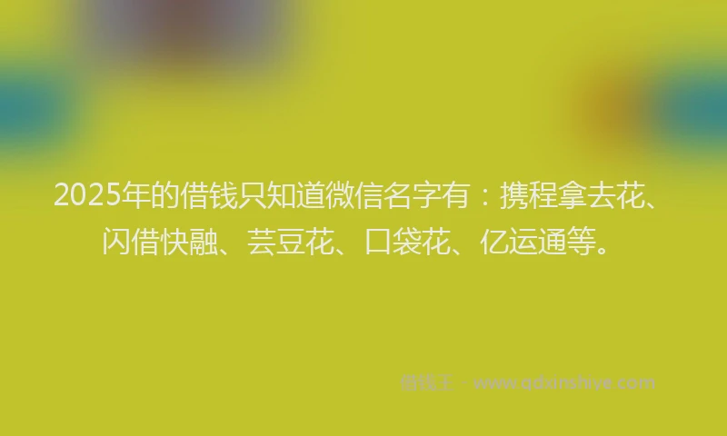 2025年的借钱只知道微信名字有：携程拿去花、闪借快融、芸豆花、口袋花、亿运通等。