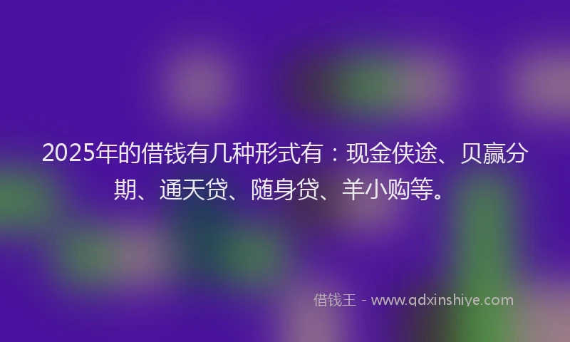 2025年的借钱有几种形式有：现金侠途、贝赢分期、通天贷、随身贷、羊小购等。