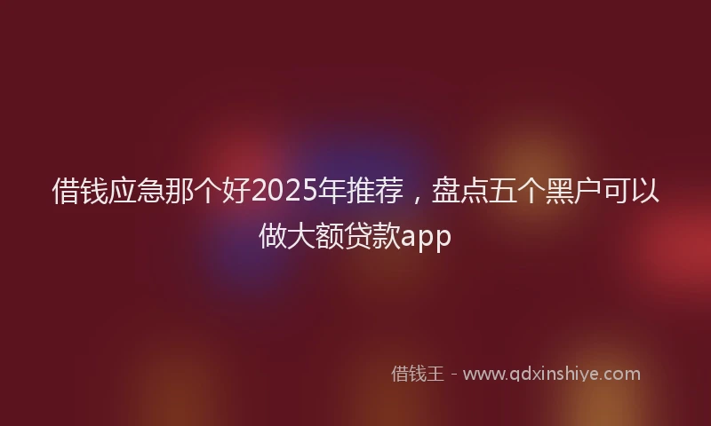 借钱应急那个好2025年推荐，盘点五个黑户可以做大额贷款app