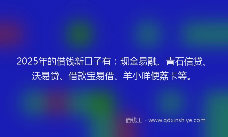 2025年的借钱新口子有：现金易融、青石信贷、沃易贷、借款宝易借、羊小咩便荔卡等。
