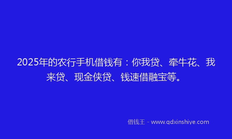 2025年的农行手机借钱有：你我贷、牵牛花、我来贷、现金侠贷、钱速借融宝等。