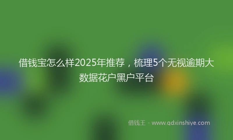 借钱宝怎么样2025年推荐，梳理5个无视逾期大数据花户黑户平台