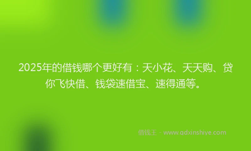 2025年的借钱哪个更好有：天小花、天天购、贷你飞快借、钱袋速借宝、速得通等。