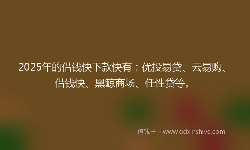 2025年的借钱快下款快有：优投易贷、云易购、借钱快、黑鲸商场、任性贷等。
