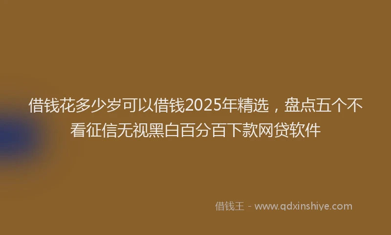 借钱花多少岁可以借钱2025年精选，盘点五个不看征信无视黑白百分百下款网贷软件