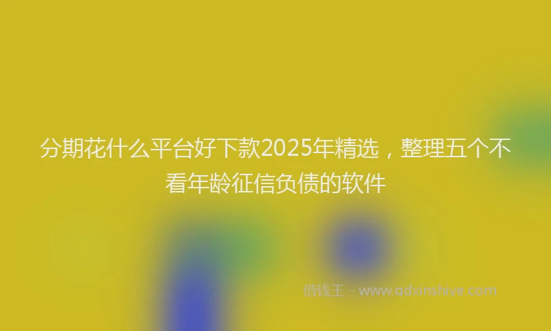 分期花什么平台好下款2025年精选，整理五个不看年龄征信负债的软件
