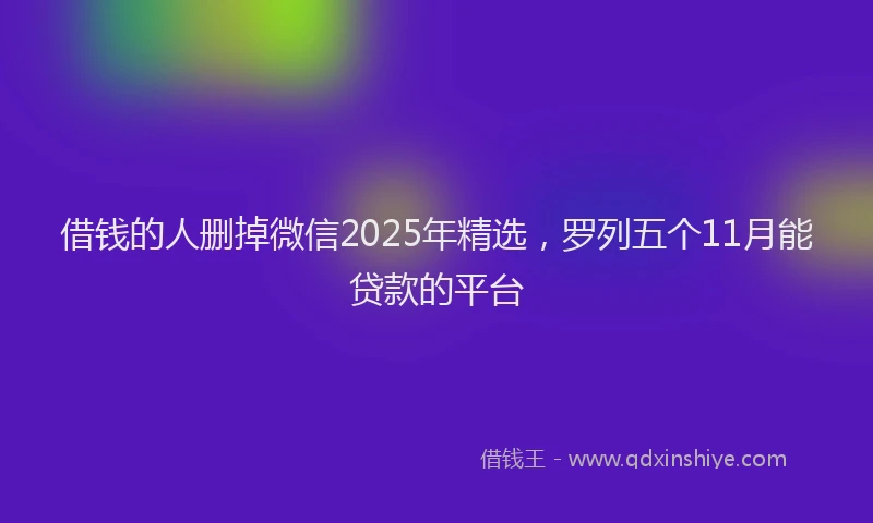 借钱的人删掉微信2025年精选，罗列五个11月能贷款的平台