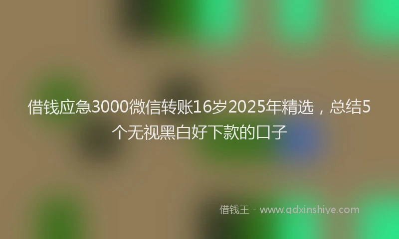 借钱应急3000微信转账16岁2025年精选，总结5个无视黑白好下款的口子