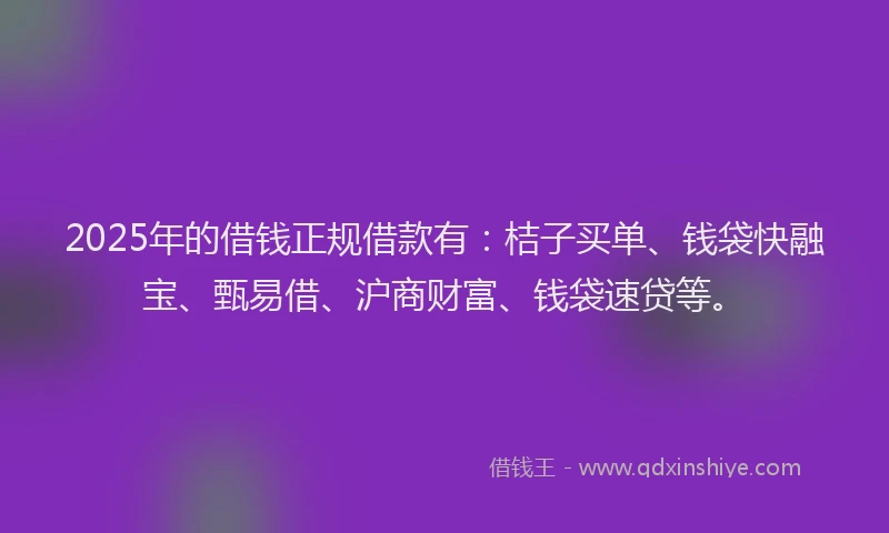 2025年的借钱正规借款有：桔子买单、钱袋快融宝、甄易借、沪商财富、钱袋速贷等。