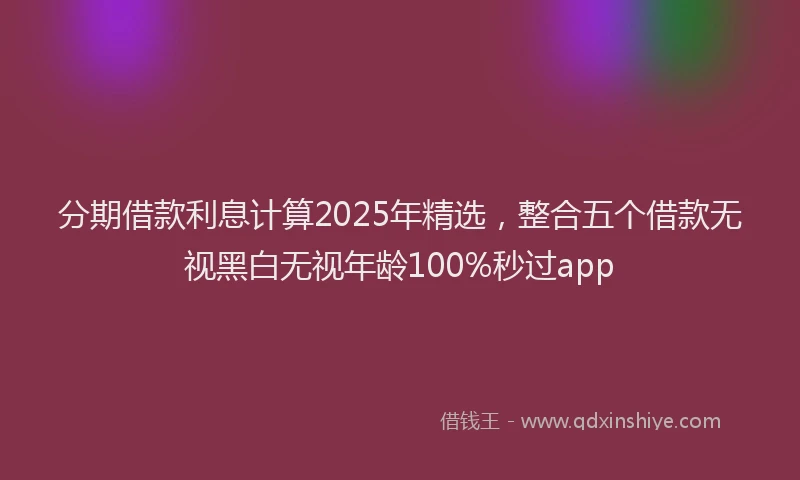 分期借款利息计算2025年精选，整合五个借款无视黑白无视年龄100%秒过app
