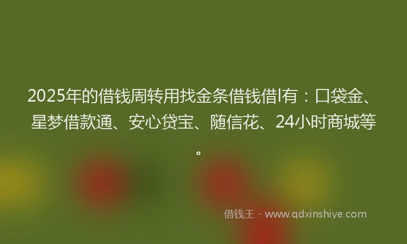 2025年的借钱周转用找金条借钱借l有：口袋金、星梦借款通、安心贷宝、随信花、24小时商城等。