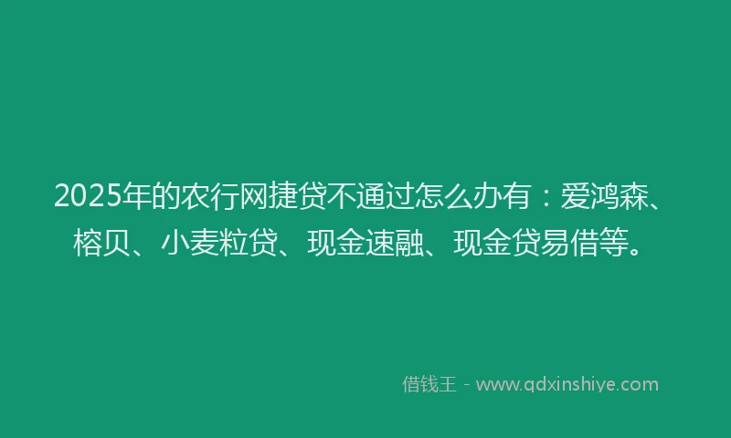 2025年的农行网捷贷不通过怎么办有：爱鸿森、榕贝、小麦粒贷、现金速融、现金贷易借等。