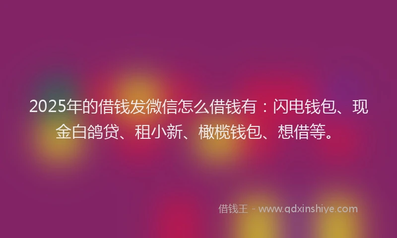 2025年的借钱发微信怎么借钱有：闪电钱包、现金白鸽贷、租小新、橄榄钱包、想借等。