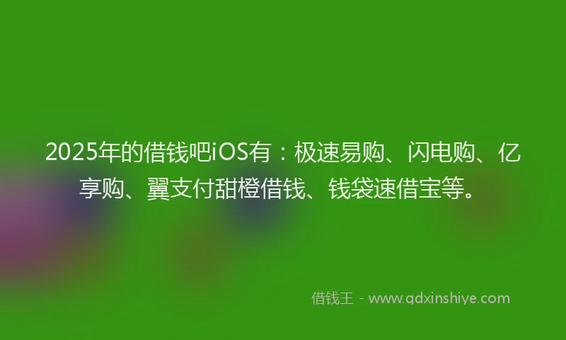 2025年的借钱吧iOS有：极速易购、闪电购、亿享购、翼支付甜橙借钱、钱袋速借宝等。