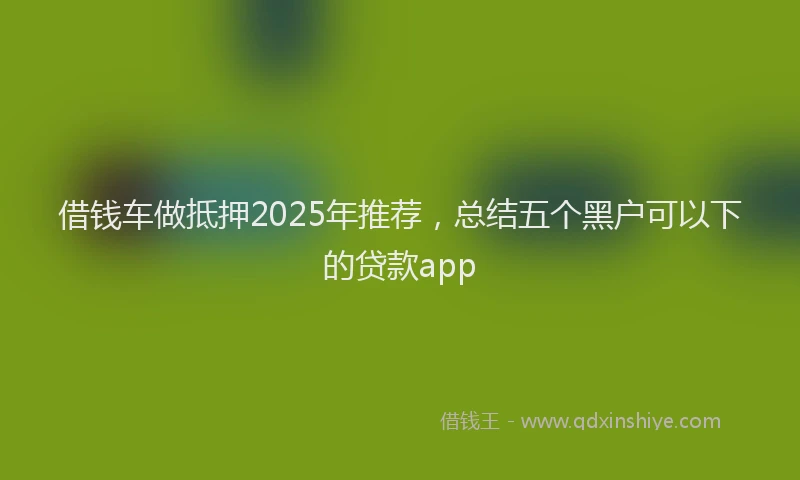 借钱车做抵押2025年推荐，总结五个黑户可以下的贷款app