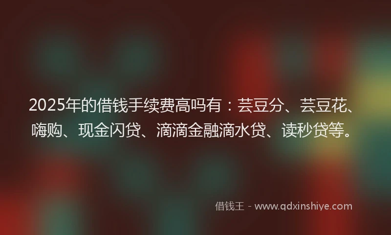 2025年的借钱手续费高吗有：芸豆分、芸豆花、嗨购、现金闪贷、滴滴金融滴水贷、读秒贷等。
