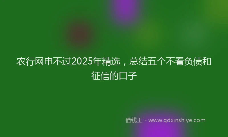农行网申不过2025年精选，总结五个不看负债和征信的口子