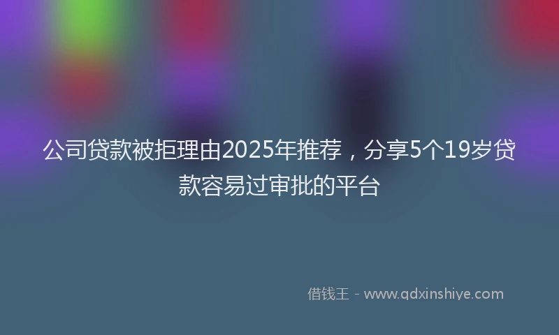 公司贷款被拒理由2025年推荐，分享5个19岁贷款容易过审批的平台