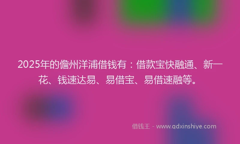 2025年的儋州洋浦借钱有：借款宝快融通、新一花、钱速达易、易借宝、易借速融等。