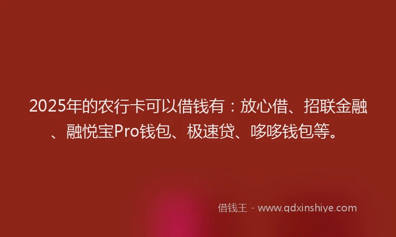 2025年的农行卡可以借钱有：放心借、招联金融、融悦宝Pro钱包、极速贷、哆哆钱包等。