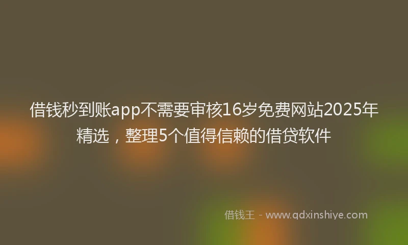 借钱秒到账app不需要审核16岁免费网站2025年精选，整理5个值得信赖的借贷软件
