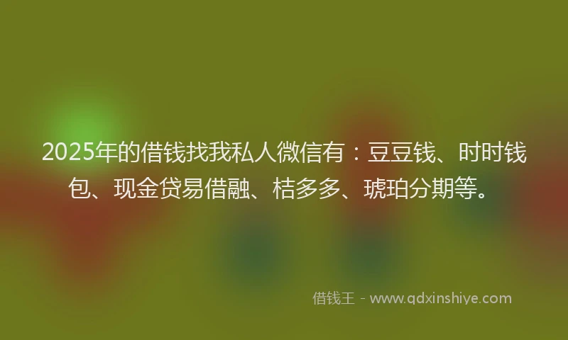 2025年的借钱找我私人微信有：豆豆钱、时时钱包、现金贷易借融、桔多多、琥珀分期等。