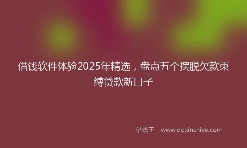 借钱软件体验2025年精选，盘点五个摆脱欠款束缚贷款新口子