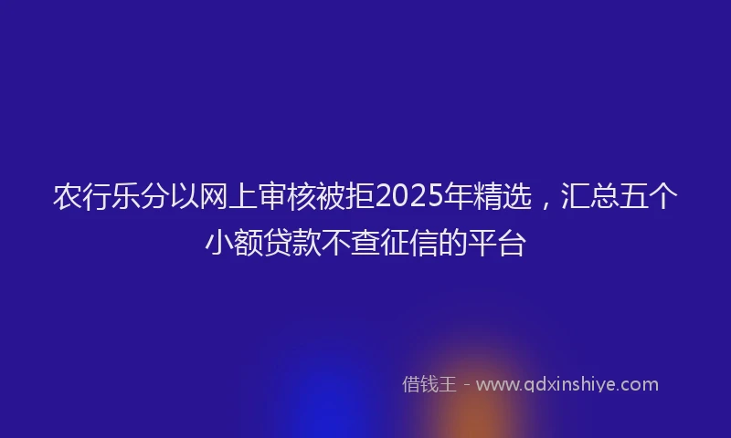 农行乐分以网上审核被拒2025年精选，汇总五个小额贷款不查征信的平台