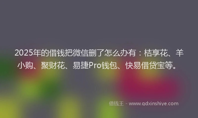 2025年的借钱把微信删了怎么办有：桔享花、羊小购、聚财花、易捷Pro钱包、快易借贷宝等。