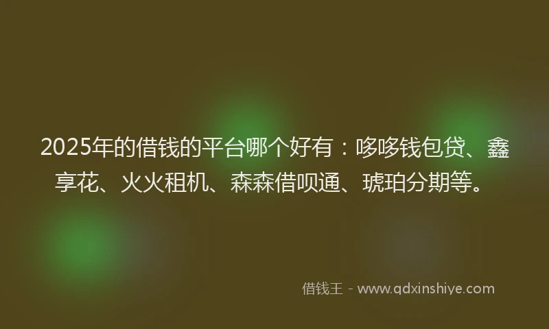 2025年的借钱的平台哪个好有：哆哆钱包贷、鑫享花、火火租机、森森借呗通、琥珀分期等。