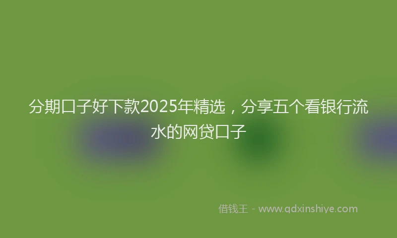 分期口子好下款2025年精选，分享五个看银行流水的网贷口子