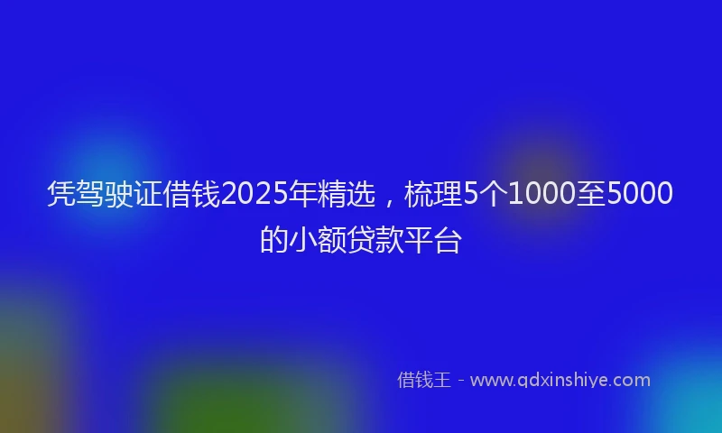 凭驾驶证借钱2025年精选，梳理5个1000至5000的小额贷款平台