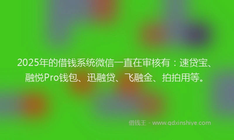2025年的借钱系统微信一直在审核有：速贷宝、融悦Pro钱包、迅融贷、飞融金、拍拍用等。