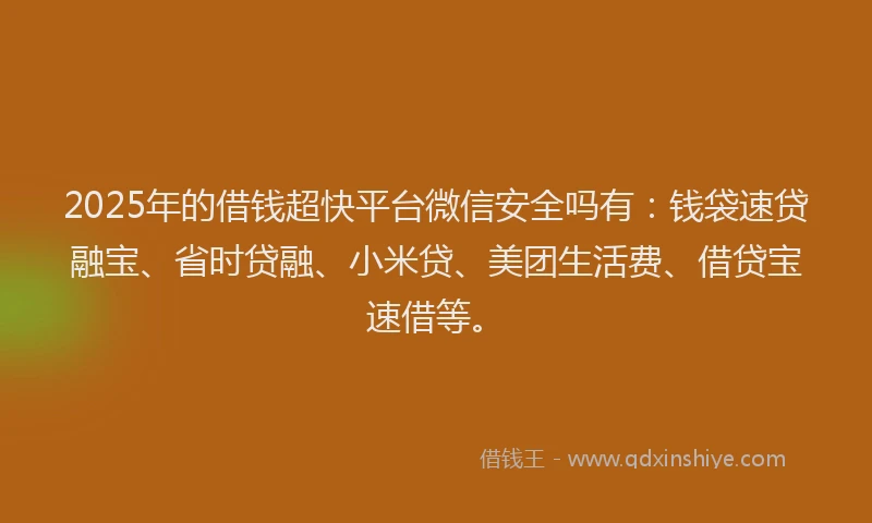 2025年的借钱超快平台微信安全吗有：钱袋速贷融宝、省时贷融、小米贷、美团生活费、借贷宝速借等。